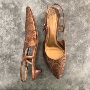 Bottega Veneta brown snakeskin kitten heels. Size 9.5